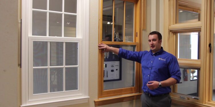 Insert window vs full frame - zikvital